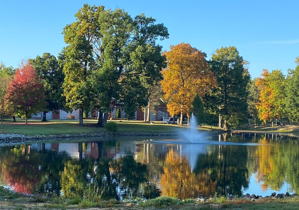 Autumn at Arlington