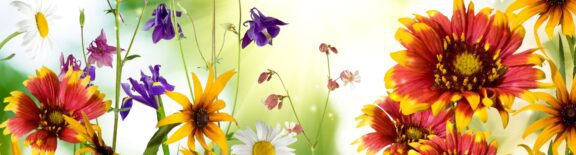 Bright Spring Flowers_OBIT
