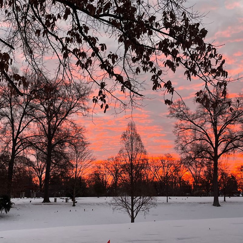 January 2026 photo by Larry Jarrett of the sunset with snow on the floor
